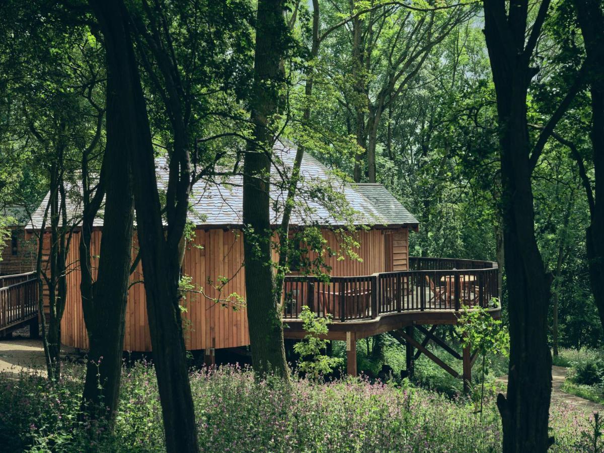 Wildhive Callow Hall Ashbourne  Extérieur photo