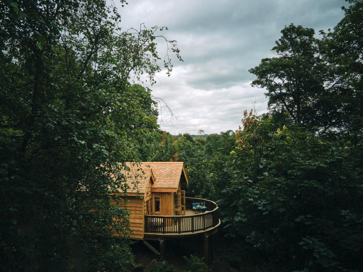 Wildhive Callow Hall Ashbourne  Extérieur photo